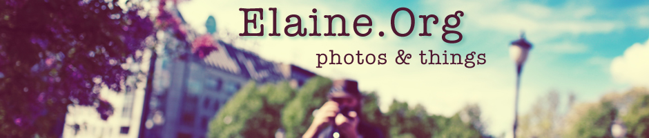 elaine.org